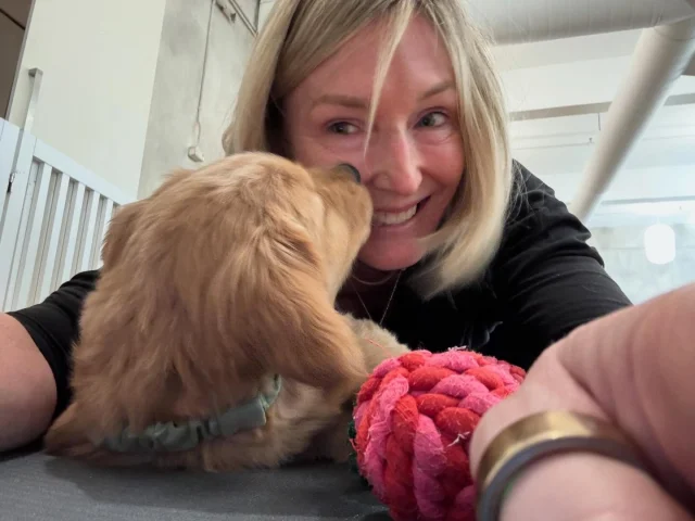 You must check this out! @thepuppysphere was a pressie from my @mattiemhayes (she’s now applying pressure to bring one home of course!) and it was epic! Amazing instruction too which I wasn’t expecting! Thank you @jenbyogi
We will be back! Can we place a request for frenchies @thepuppysphere